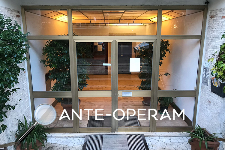 Ingresso Principale - Ante-Operam